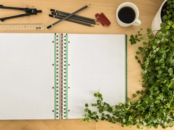 image from above of blank notebook with plants and stationery