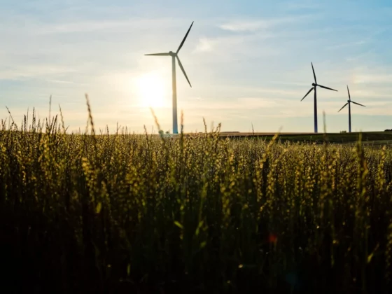 image of wind turbines in a field