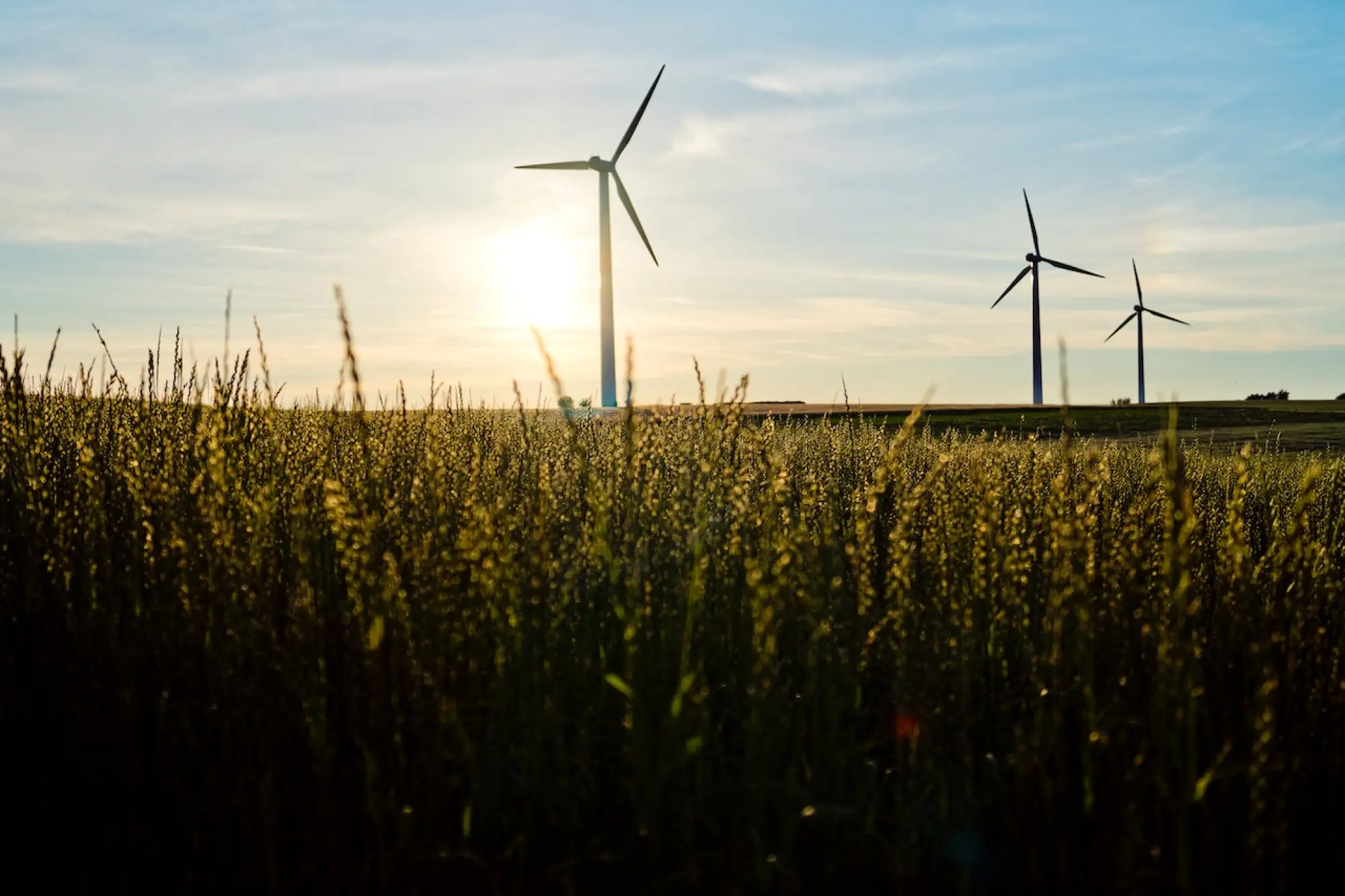 image of wind turbines in a field