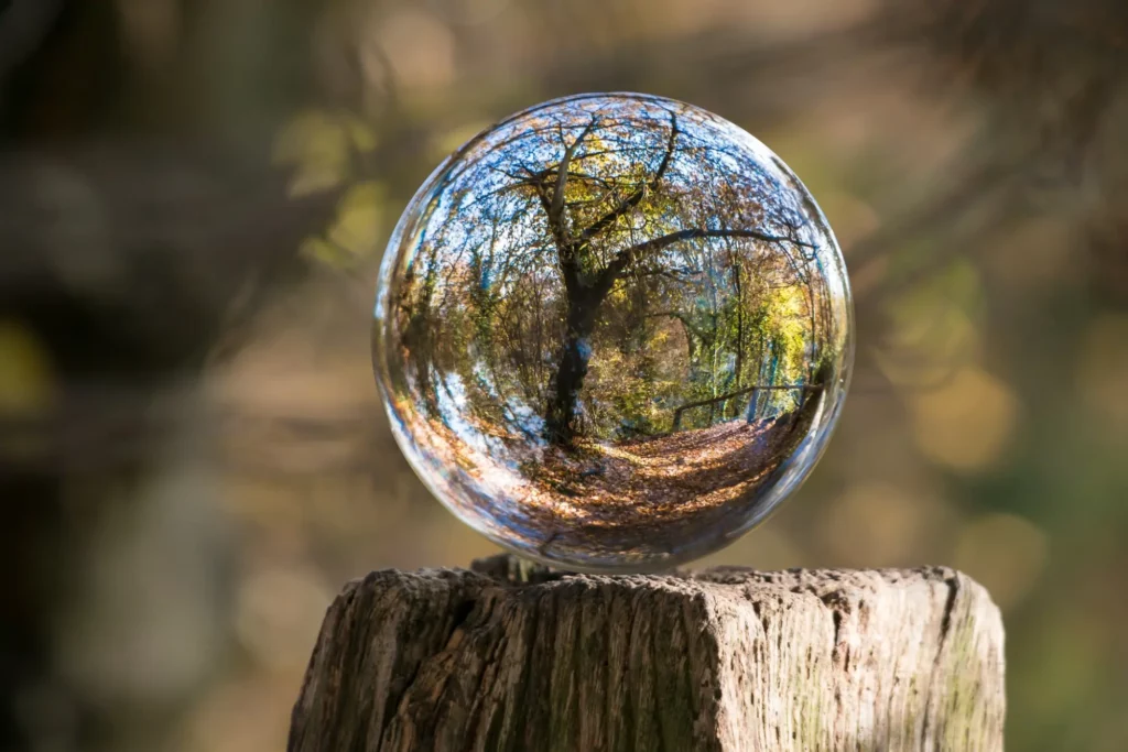 marble on a tree trunk