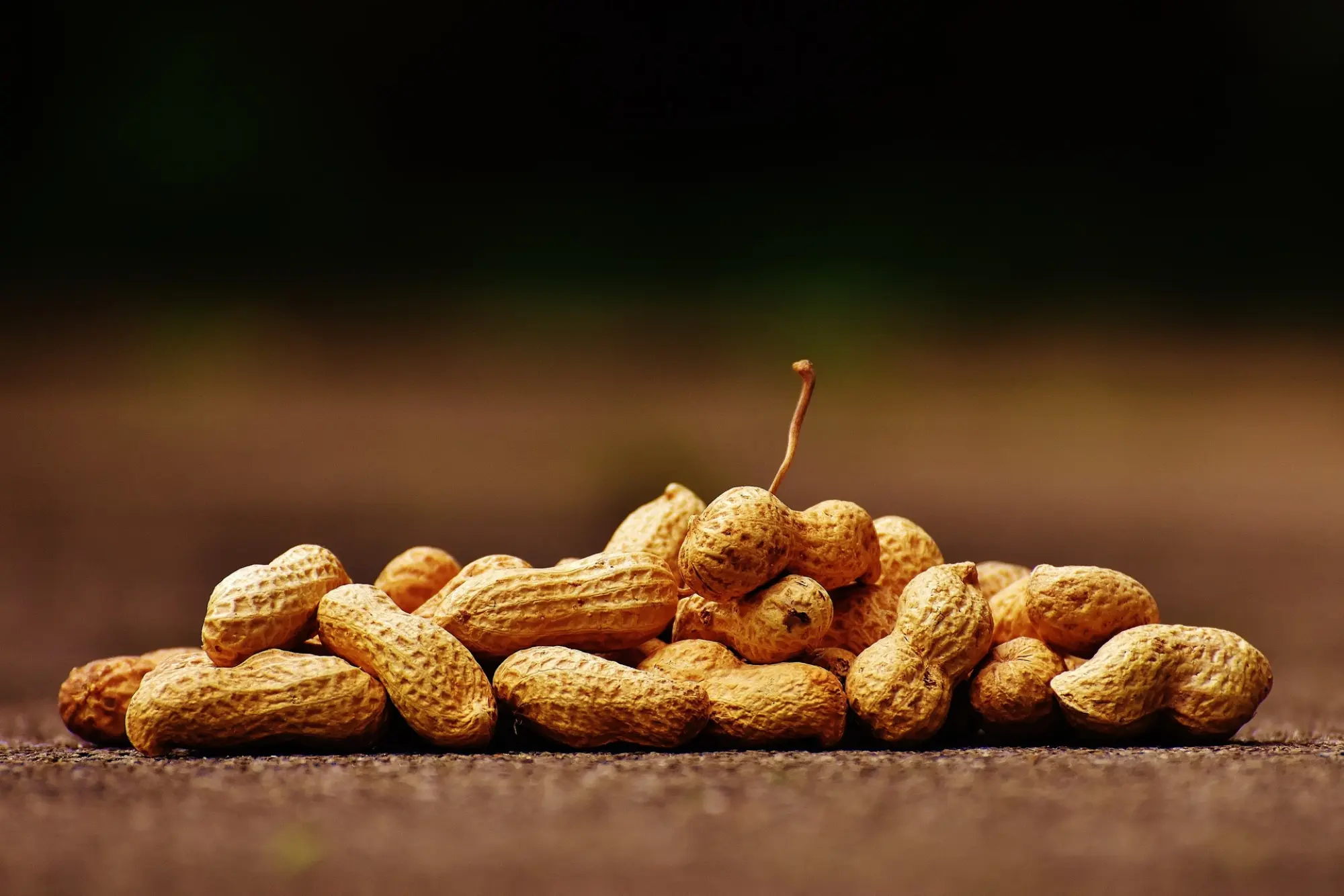 image of peanuts in a pile