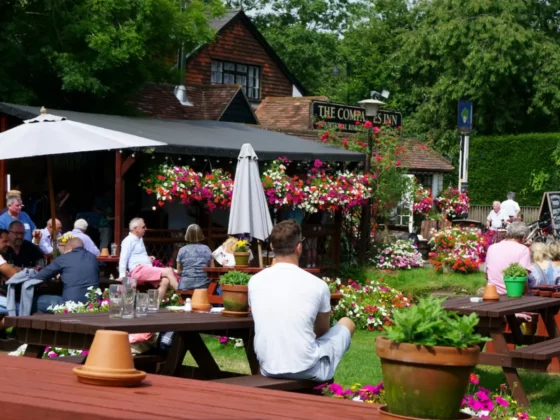 people in a pub garden