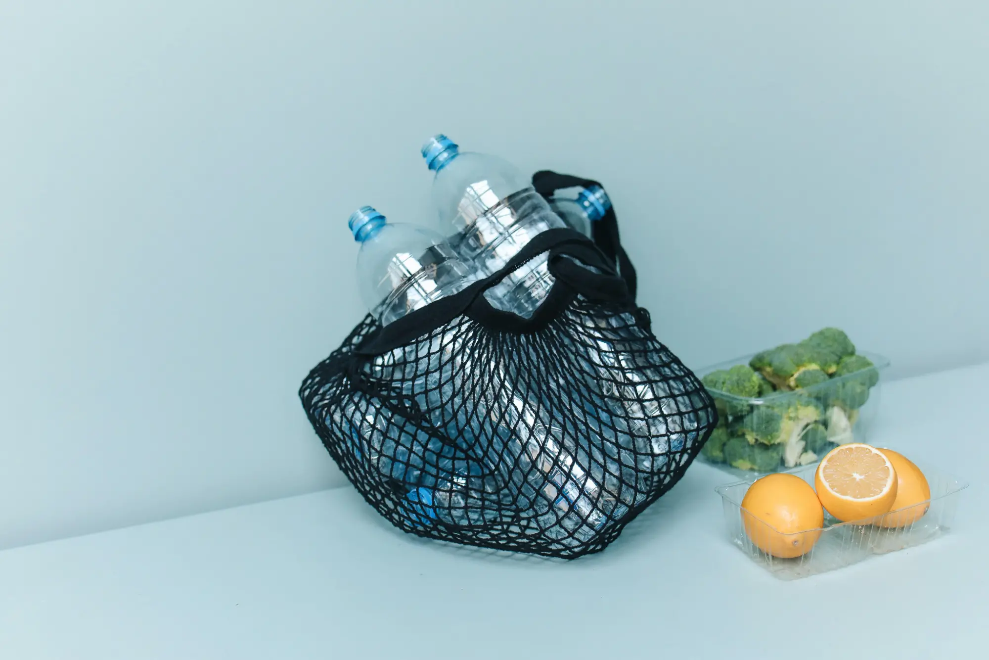 bottles of water in plastic with lemons