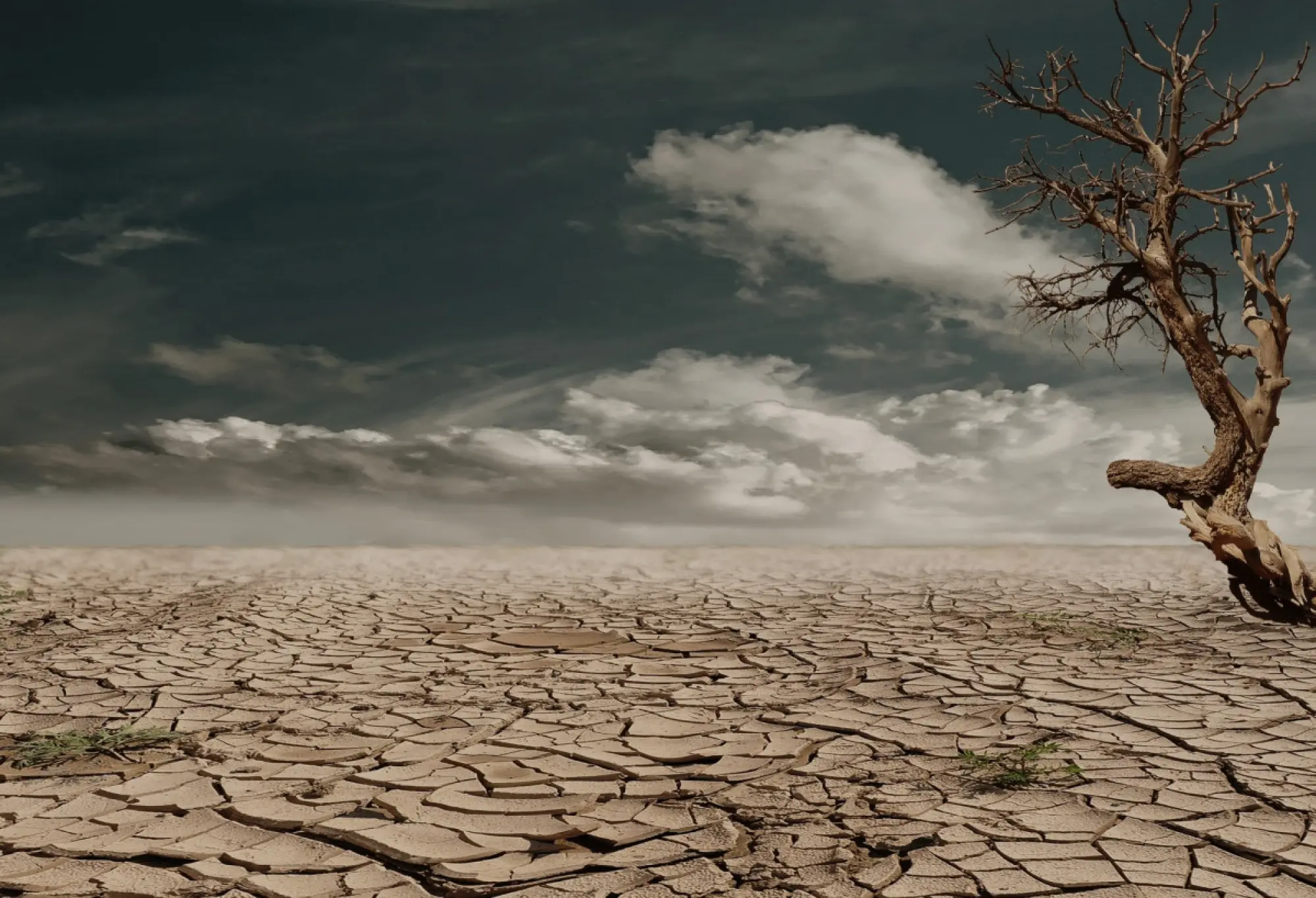 image of a barren desert