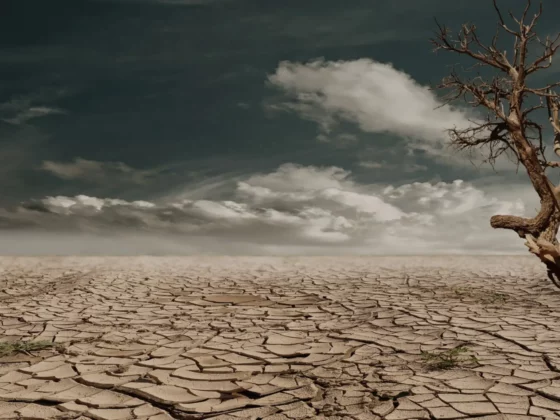 image of a barren desert